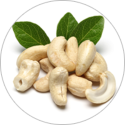images-cashew-nuts-image-07-250x250