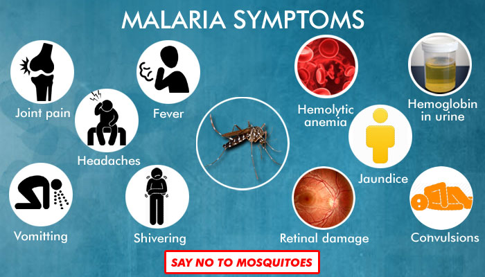 Symptoms of Malaria