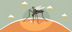 spread-diseases-in-the-city