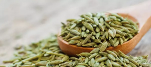 fennel seeds