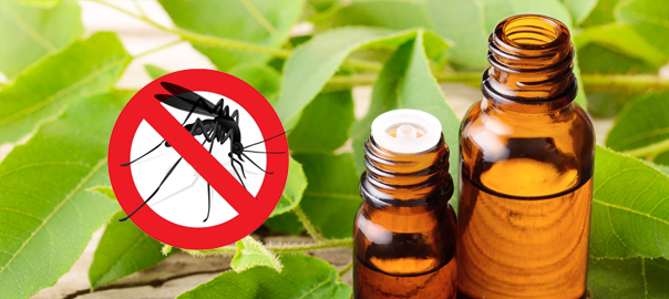 repelling mosquitoes with natural products