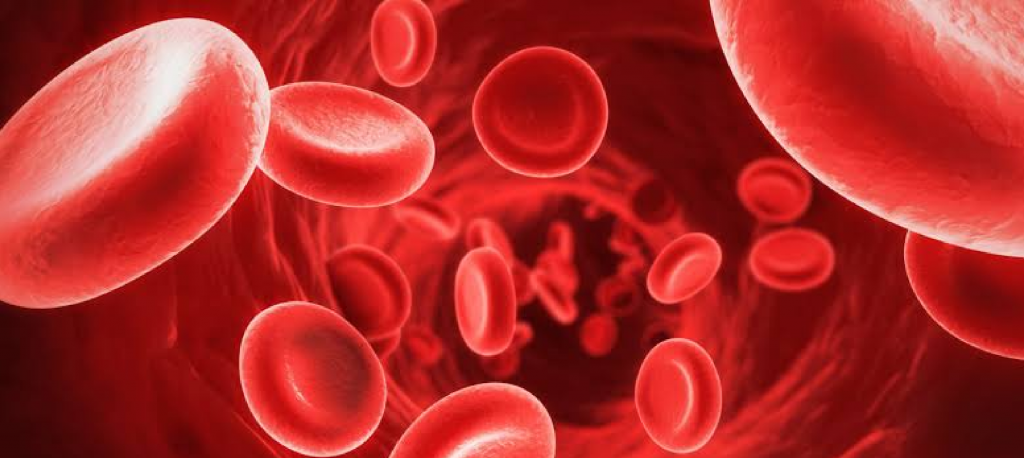 blood cells in anemia