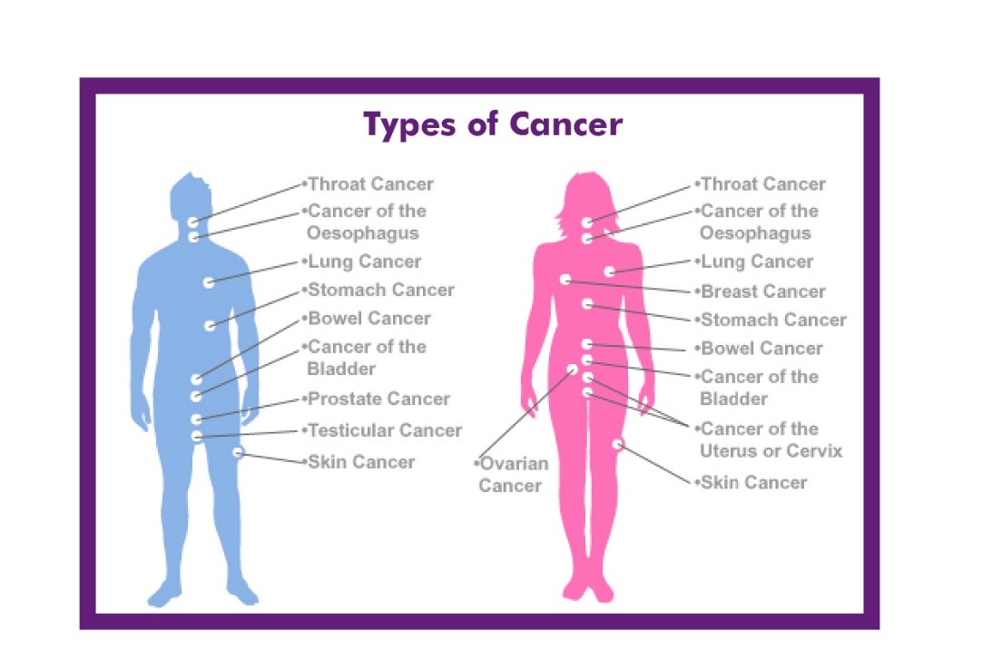 Cancer Awareness Month, early warning signs and symptoms