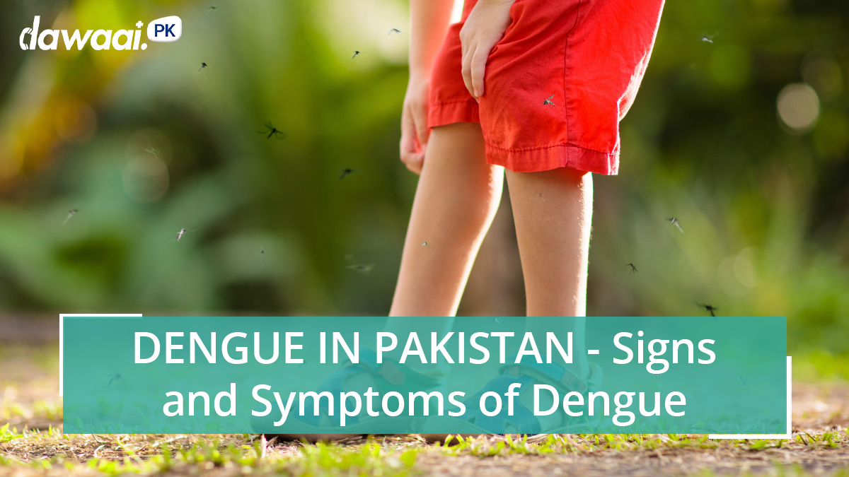 Dengue in Pakistan